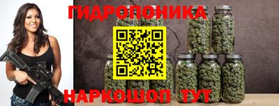 jwh Кандалакша