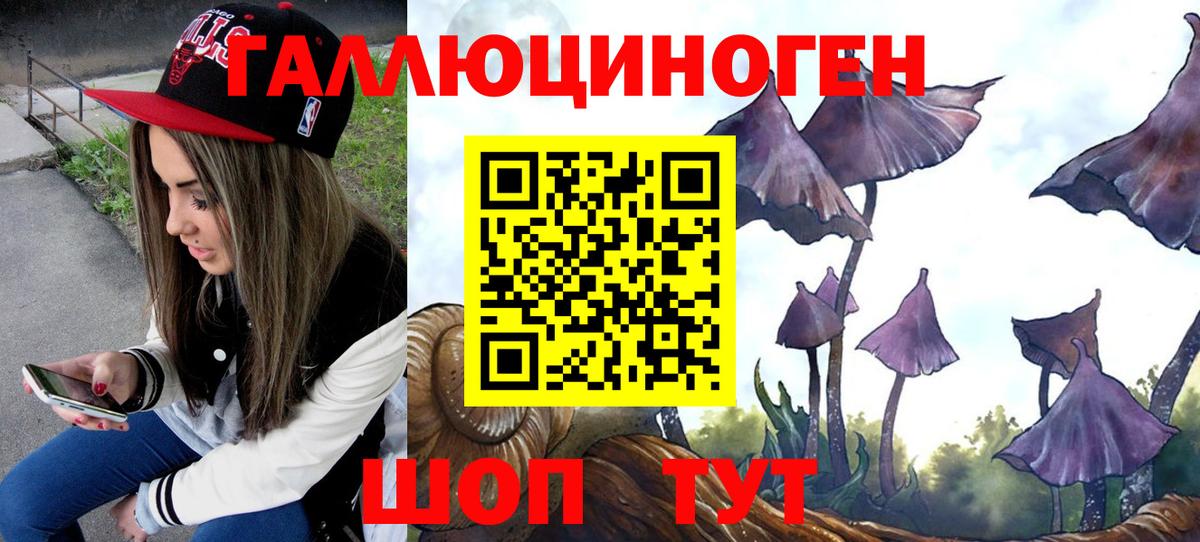 Кушва  наркота  Галлюциногенные грибы MAGIC MUSHROOMS  Вход с VPN  Псилоцибиновые грибы Psilocybine cubensis 